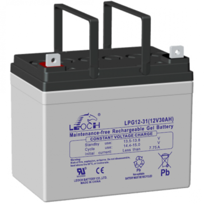 Leoch LPG12-31
