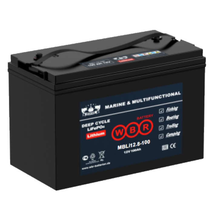 WBR MBLI12.8-100