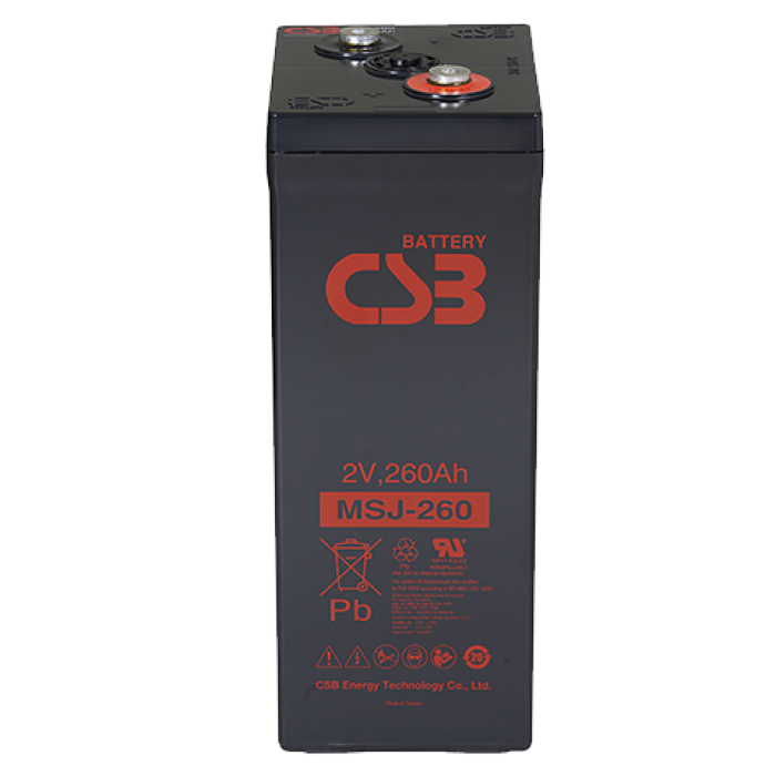 CSB MSJ 260