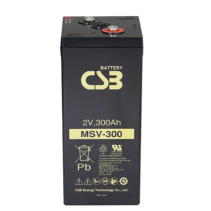 CSB MSV 300